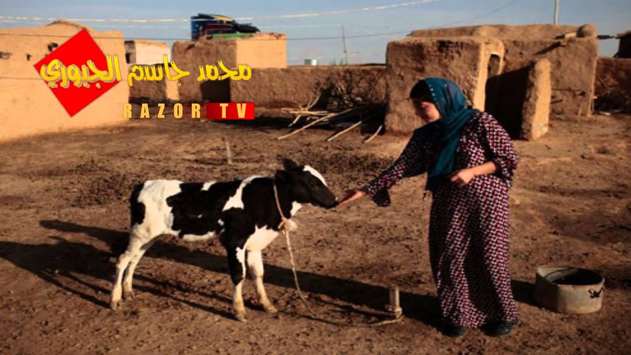 سعدي البياتي~حزين الدار RAZOR TV