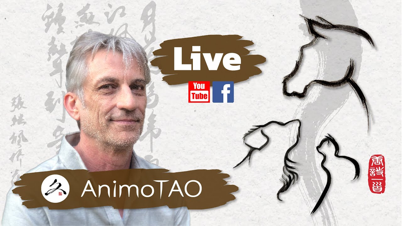 Rhinite Chien & Chat, comment agir au Naturel ?