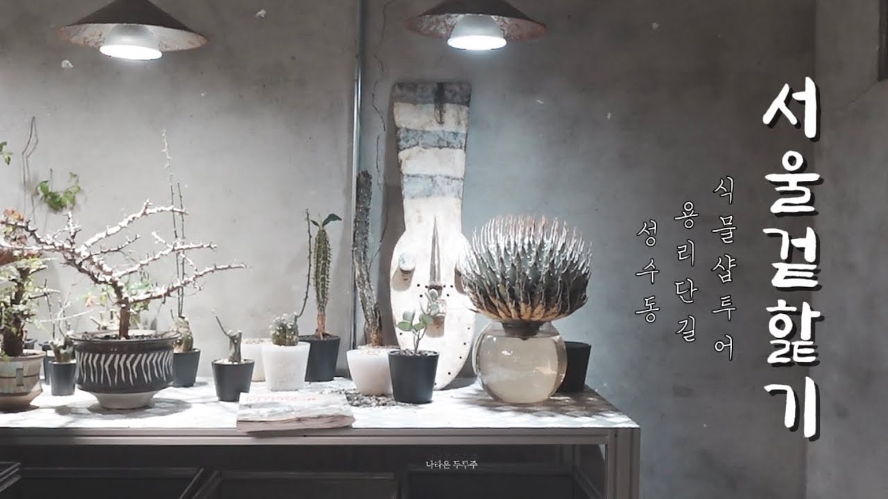 서울 식물샵 투어 / 서울 핫플레이스 : 잔잔하게 흘러가는 서울라이프