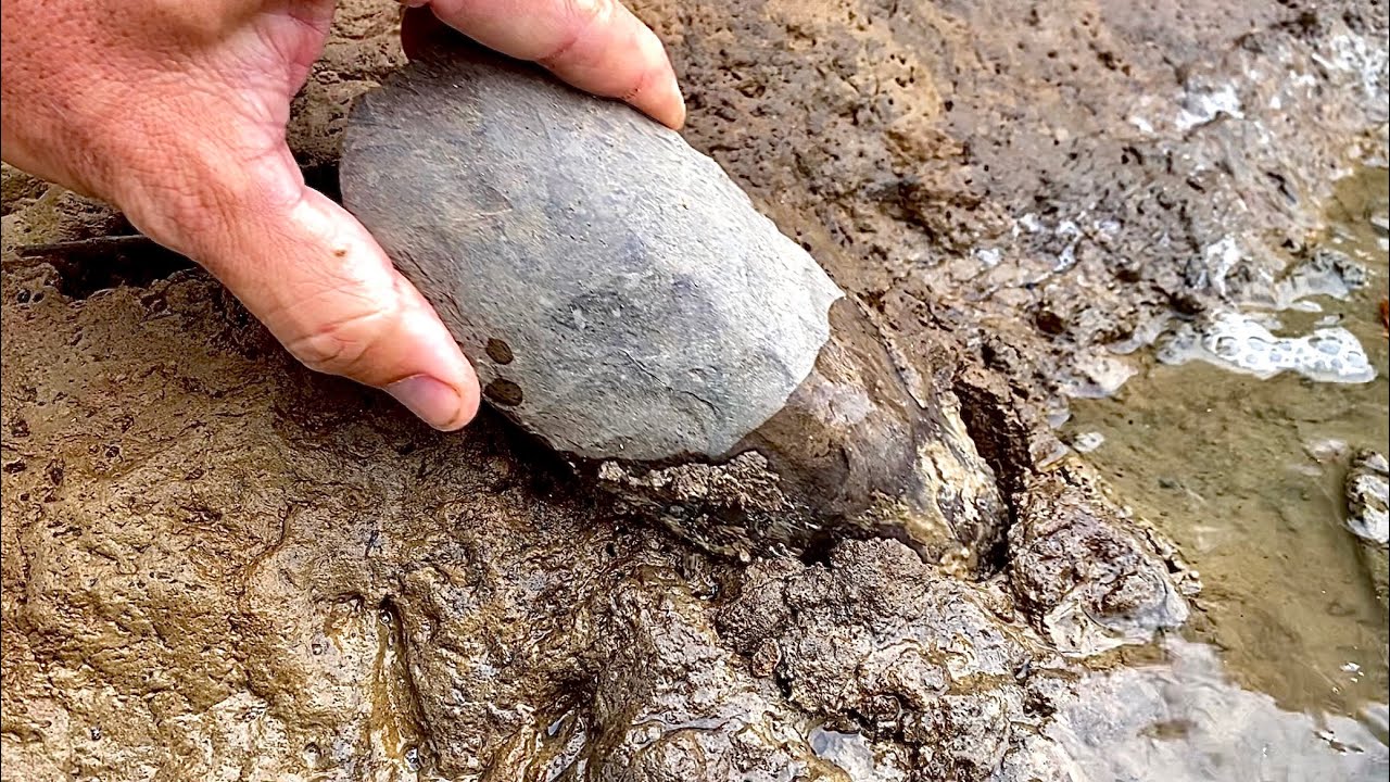 Artifact hunting TN - Dover celt part 2. The cache begins!
