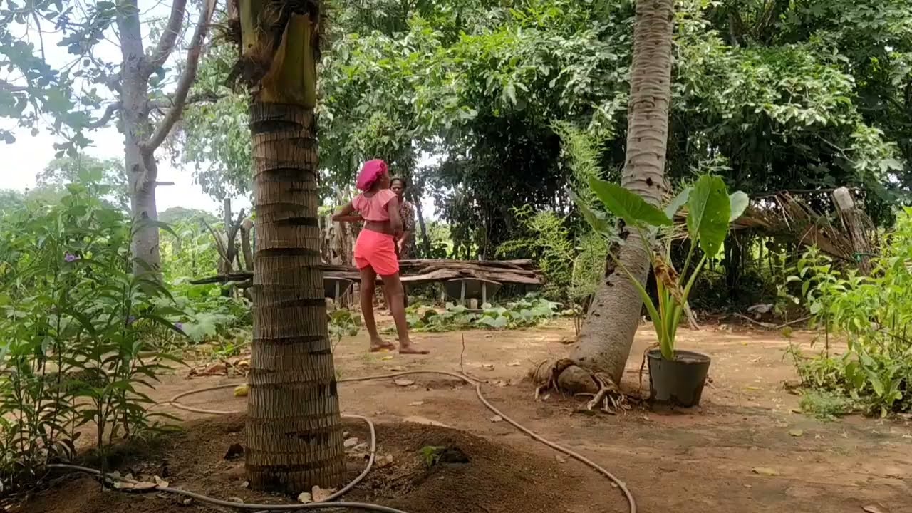 Oque vc não encontra na cidade/ mas é muito comum encontrar na roça 