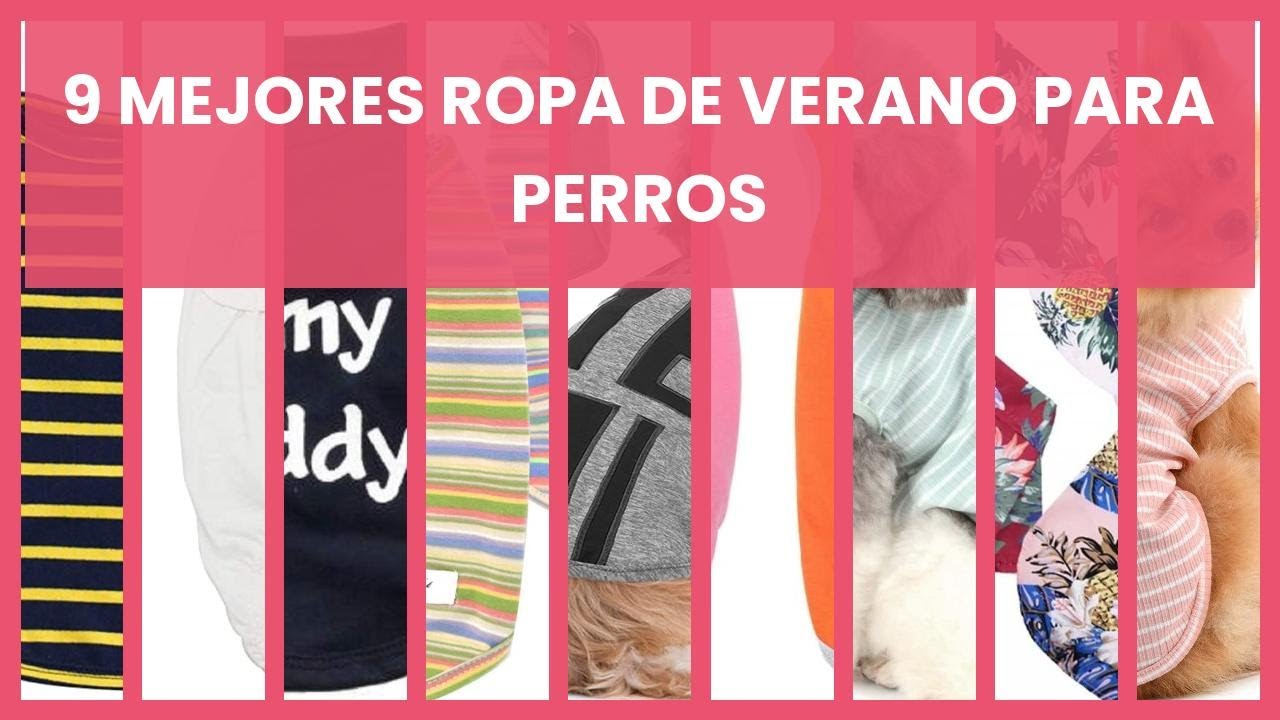 Ropa de verano para perros: 9 mejores ropa de verano para perros