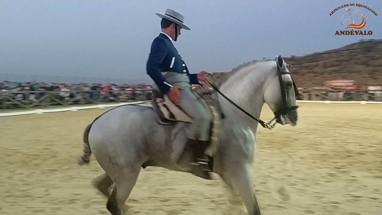 Jonathan Peña Cordero con Gladiador