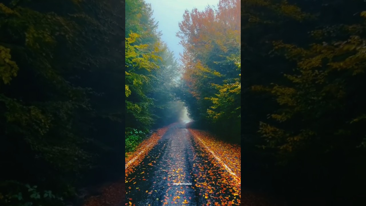 beautiful nature || lovetree || #myramusic#short#youtubeshort#love❤️
