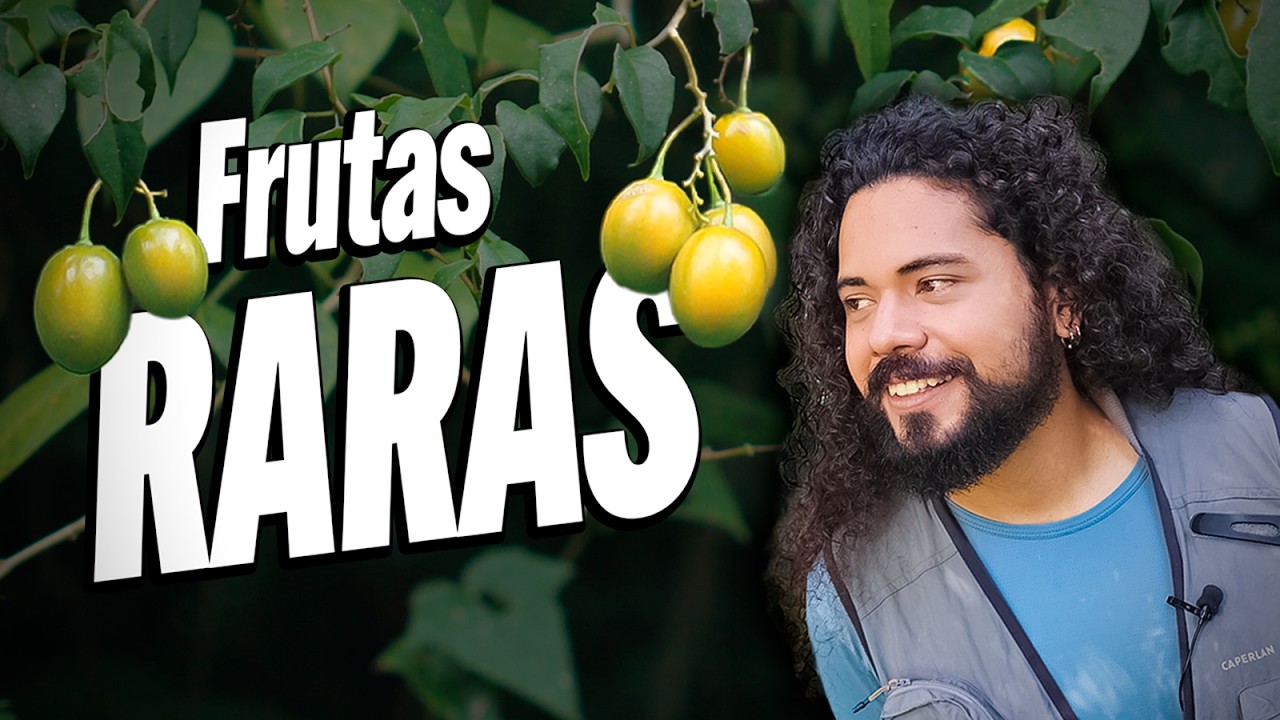 e quase IMPOSSÍVEIS DE PRODUZIR! - Guia da Floresta