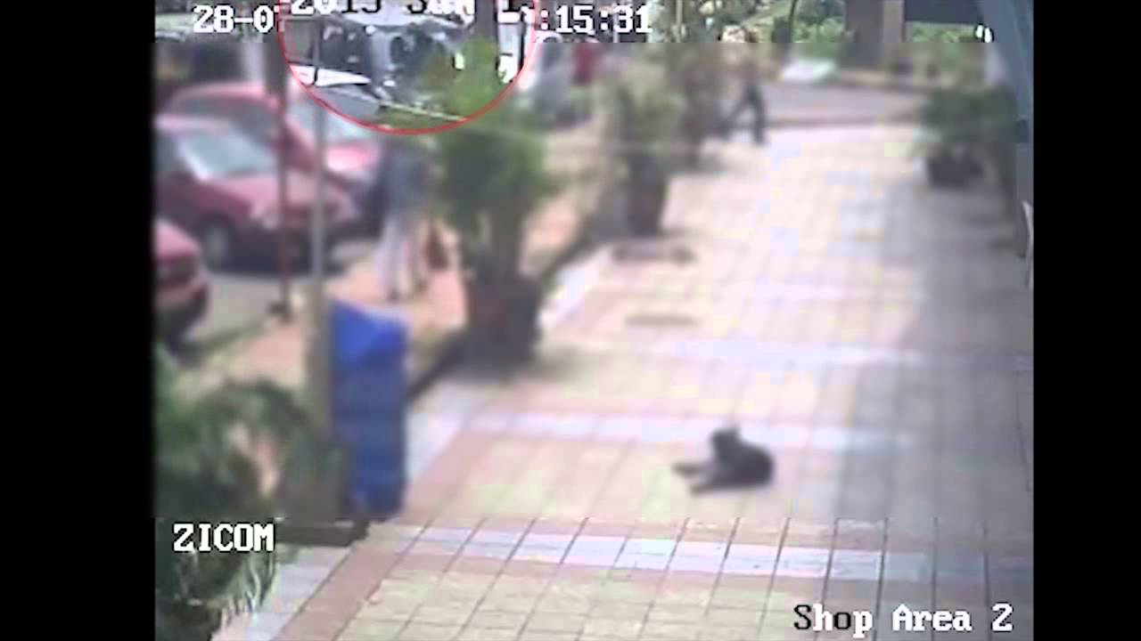 Reckless Driving | Caught on CCTV Camera