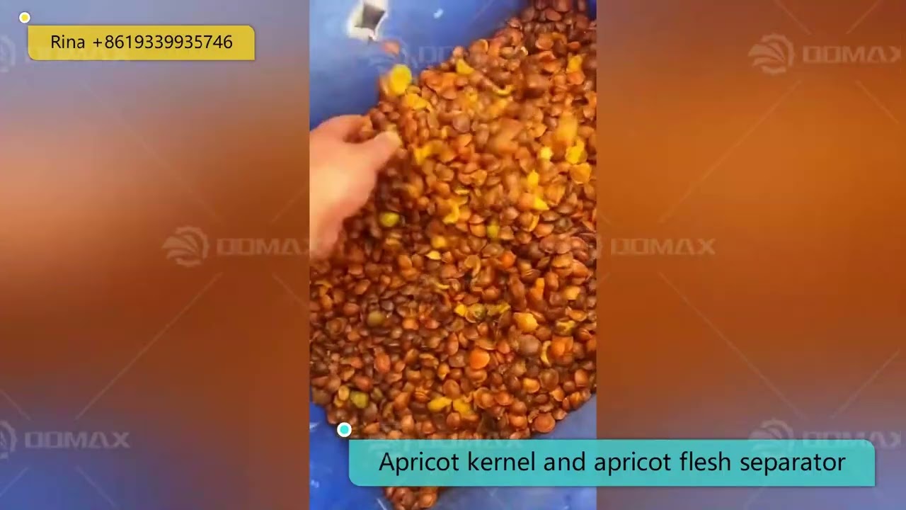 Apricot Kernel Meat Separator Pulp Removing Machine Almond Seed Flesh Peeling Separating Machine