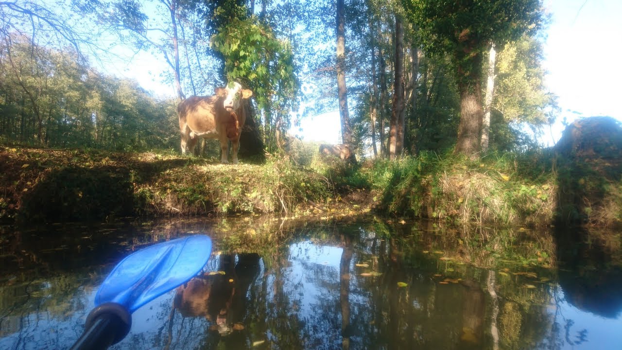 Paddeln im Herbst in Brandenburg