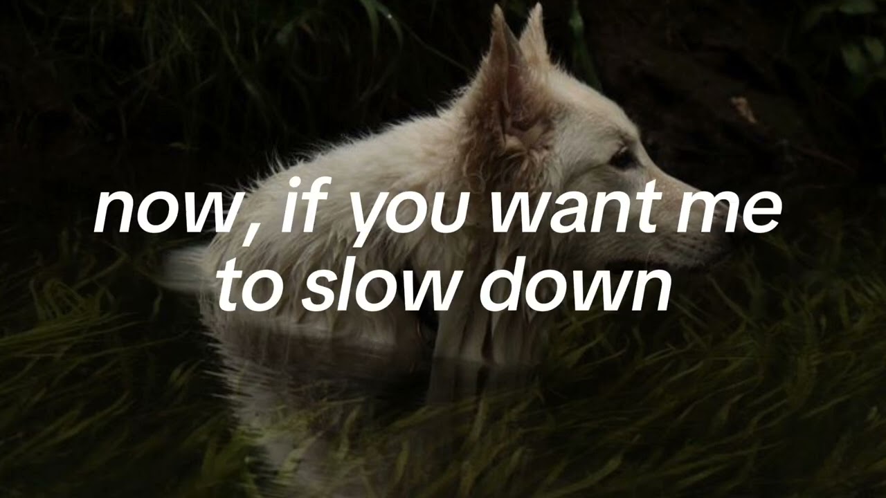 the medic // sweet pill [LYRICS]