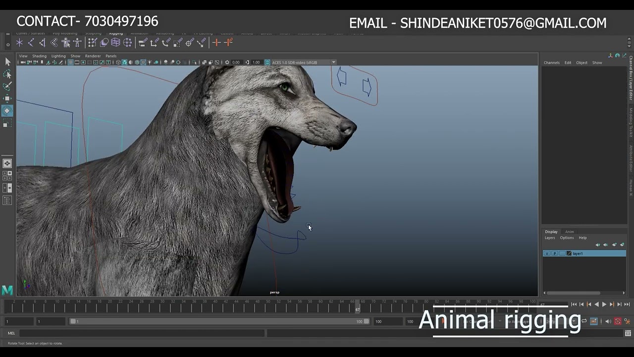New 3d Rigging Showreel 2024....#maya #3drigging  #mayaanimation