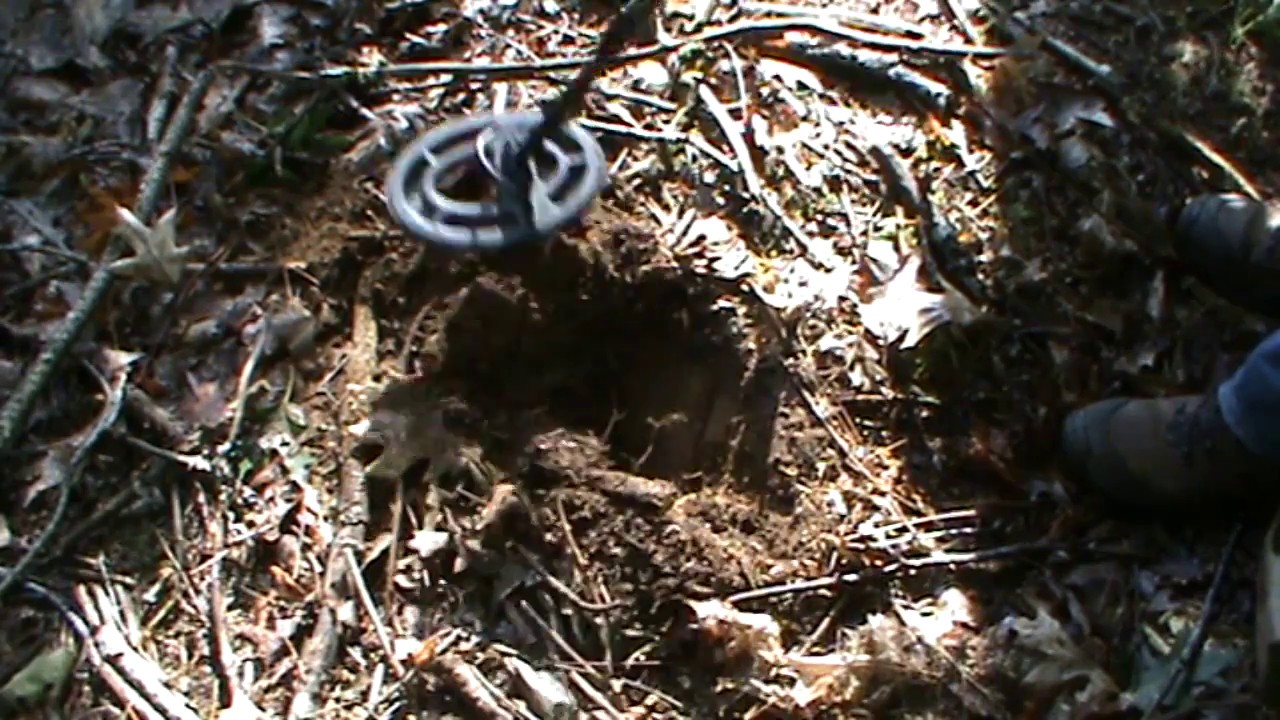 Terre Secrète (Passion-Détection) N°2  ( Castor Affamé)