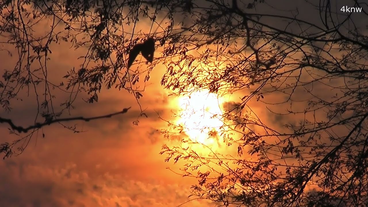 Hidden Sunset Behind Soft Clouds | Relaxing Piano Music for Peace & Calm
