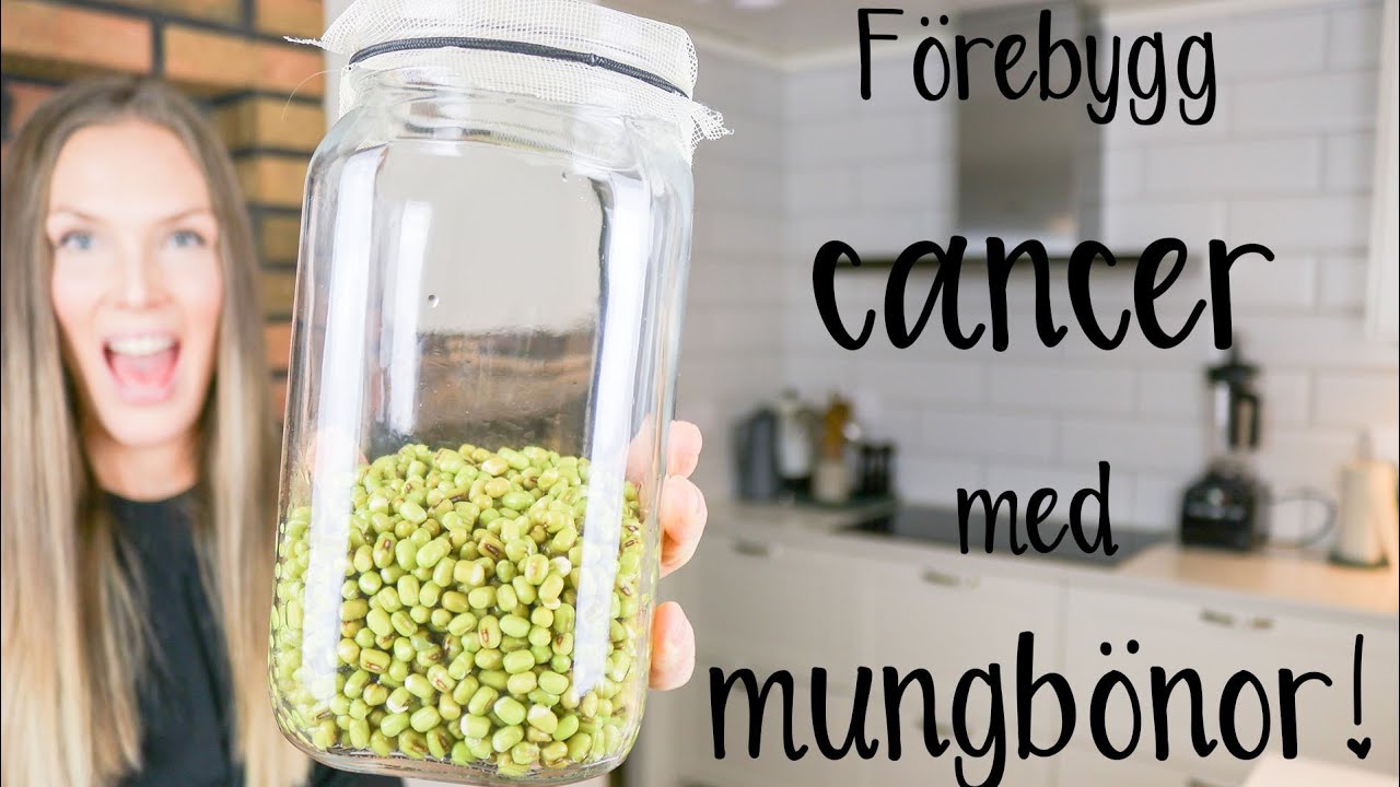 ÄT MUNGBÖNOR OCH FÖREBYGG CANCER | Vi lagar veganska mungbönsbiffar!