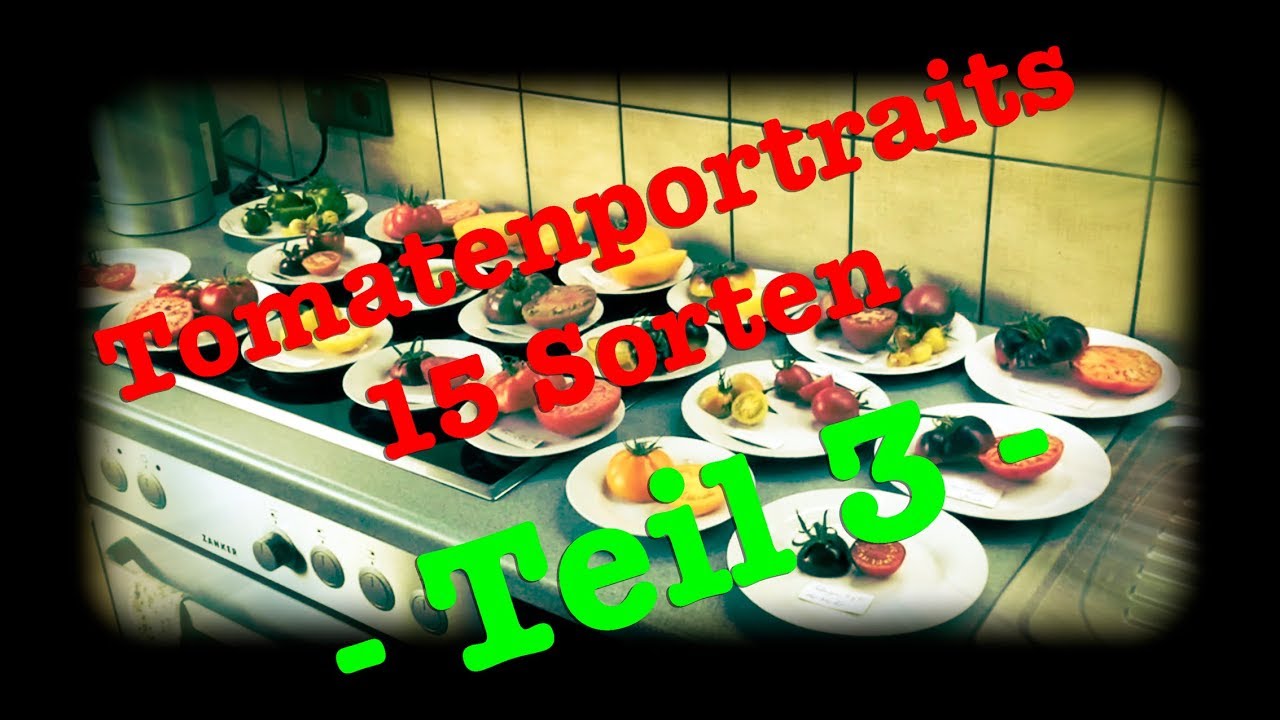 Tomatensaison 2019   -   Sortenportraits Teil 3