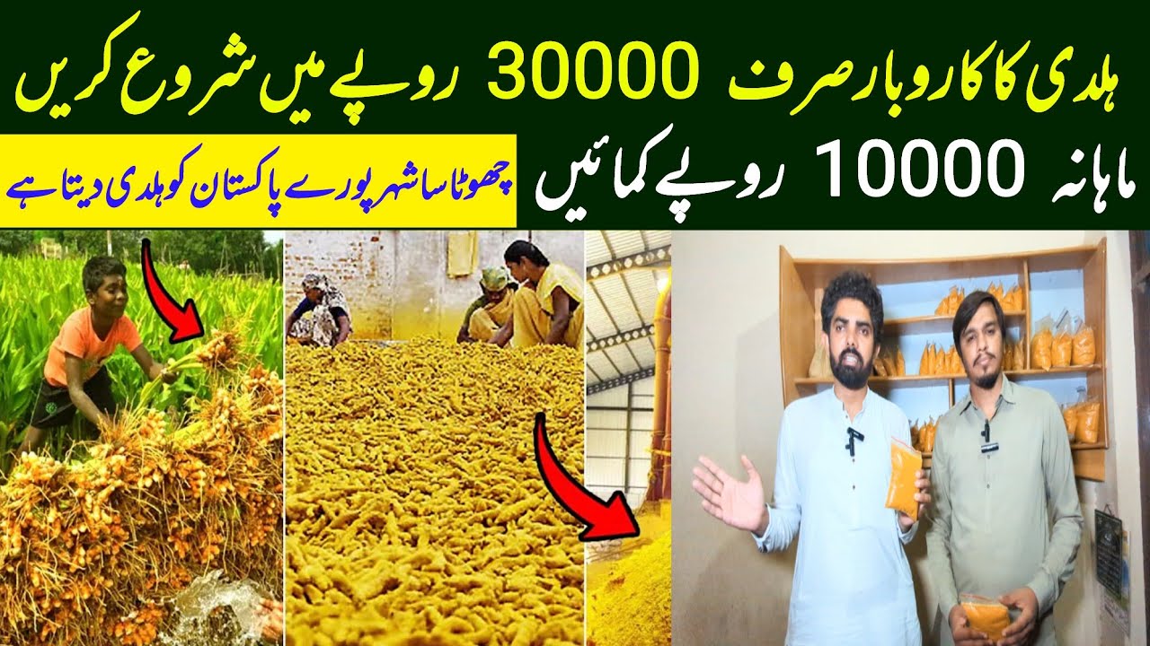 haldi business in Pakistan | Changa Manga main Haldi ki sub se bari market| Pure Turmeric powder