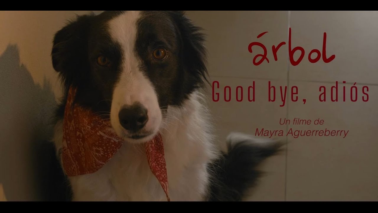 Árbol - Goodbye Adios