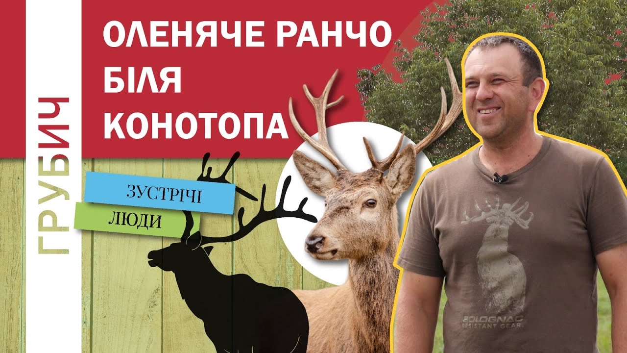 1000 Оленів Живуть Просто Неба Як У Дикій Природі Найбільша Оленяча Ферма В Україні Біля Конотопа