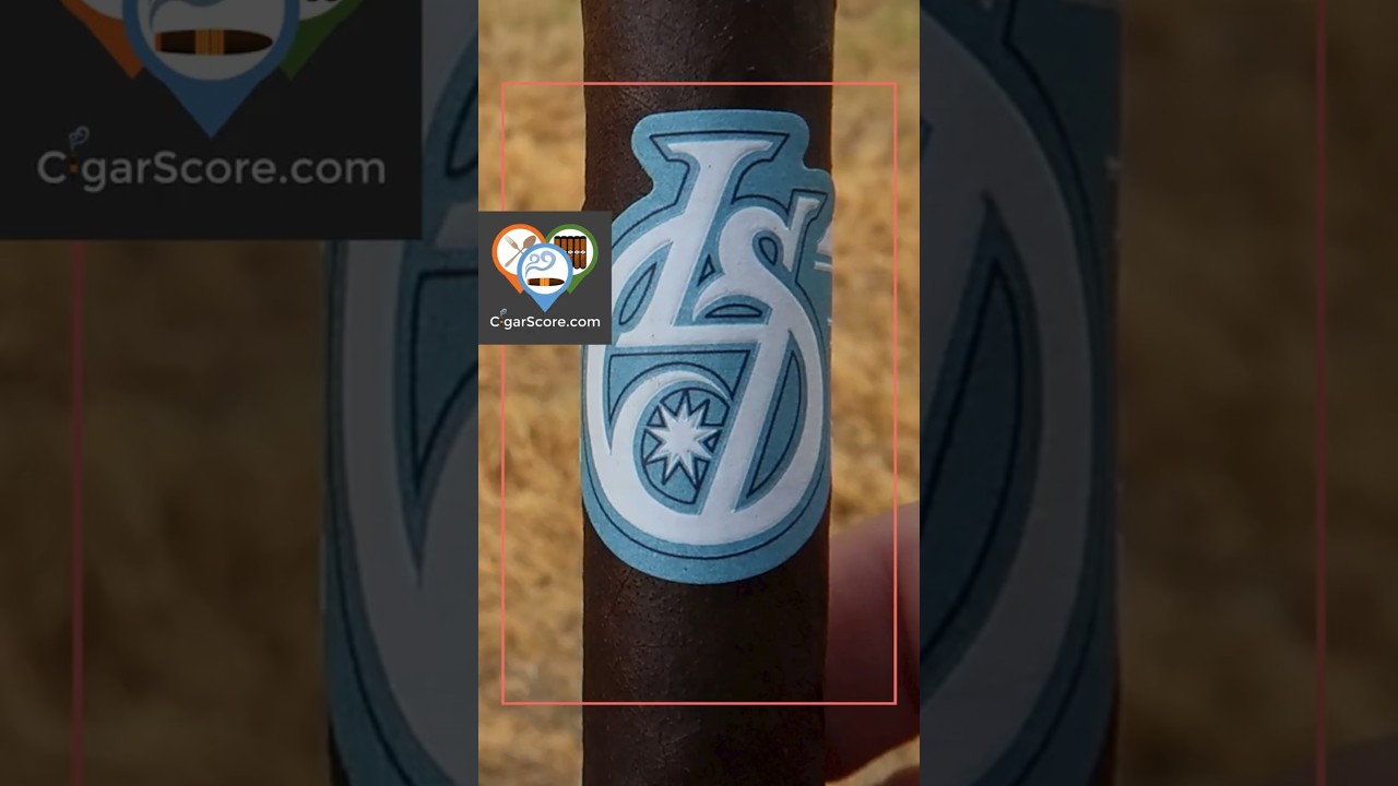 Room 101 Los Statos Deluxe Maduro _ 90 Second Cigar Review #cigarscore #cigars #shorts #room101