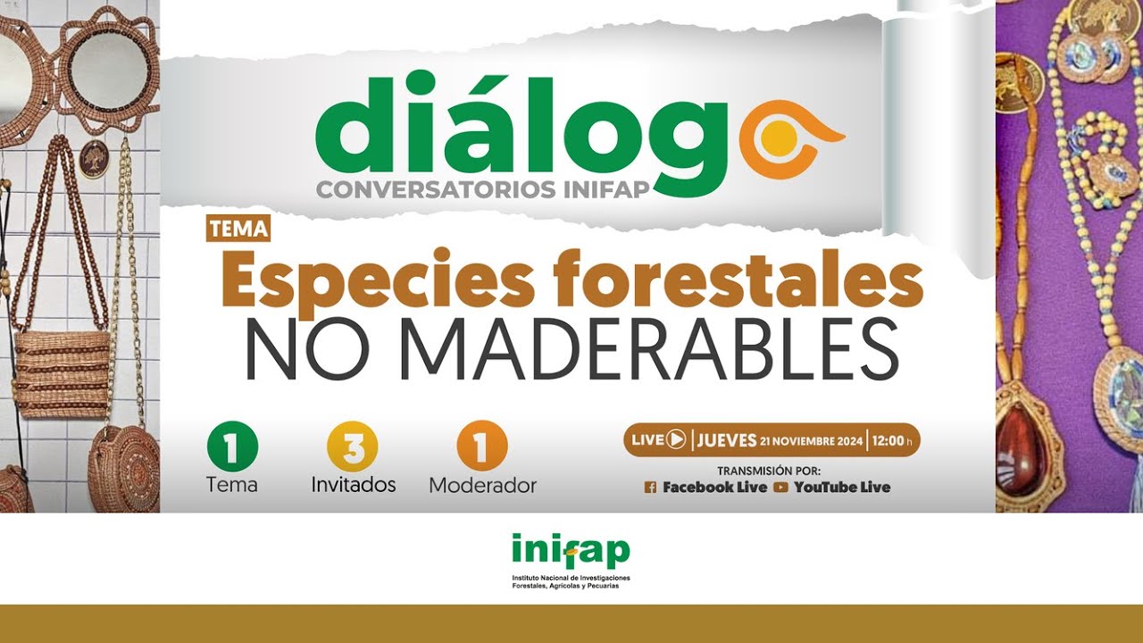 Diálogo 45: Especies forestales no maderables