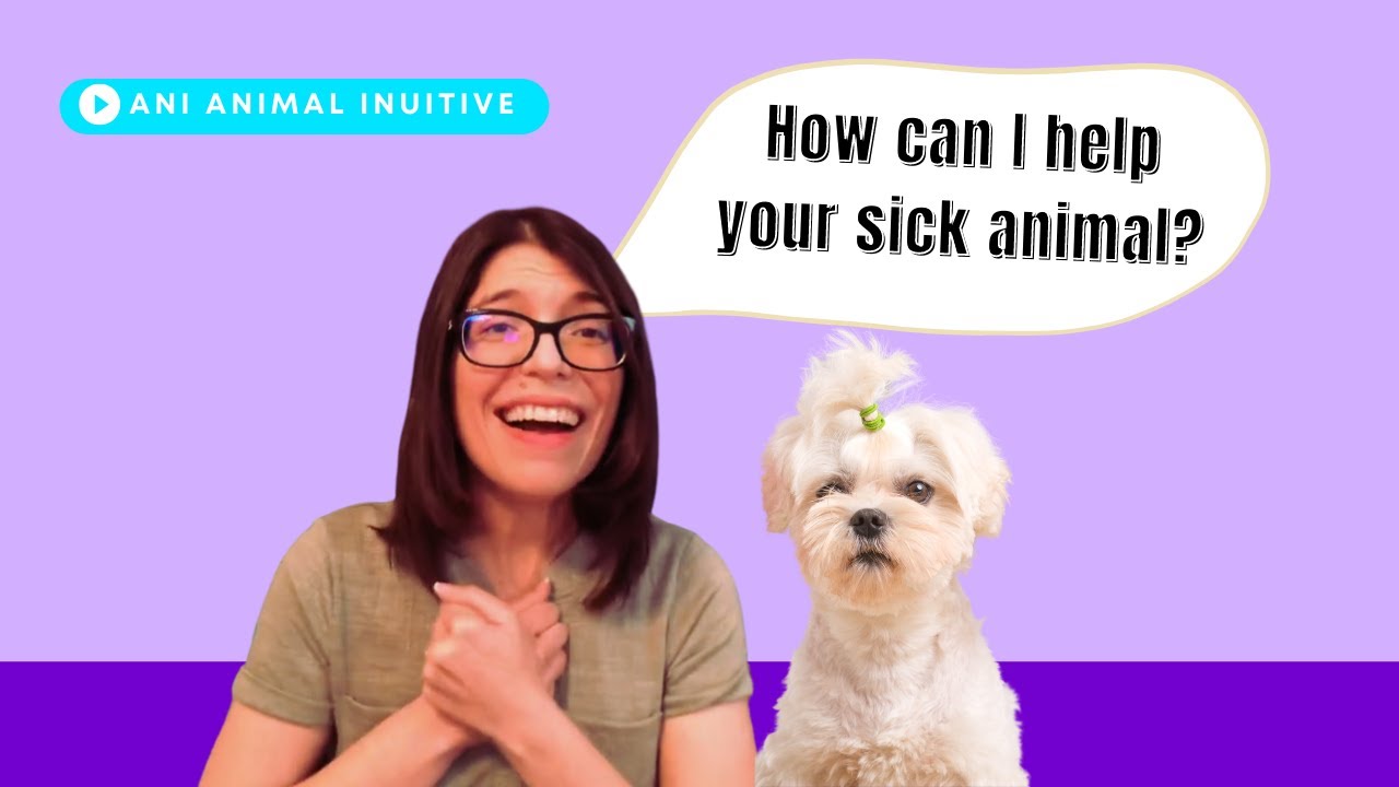 How can an Animal Medical Intuitive help your sick Animal? | Pet Psychic - Ani Animal Intuitive