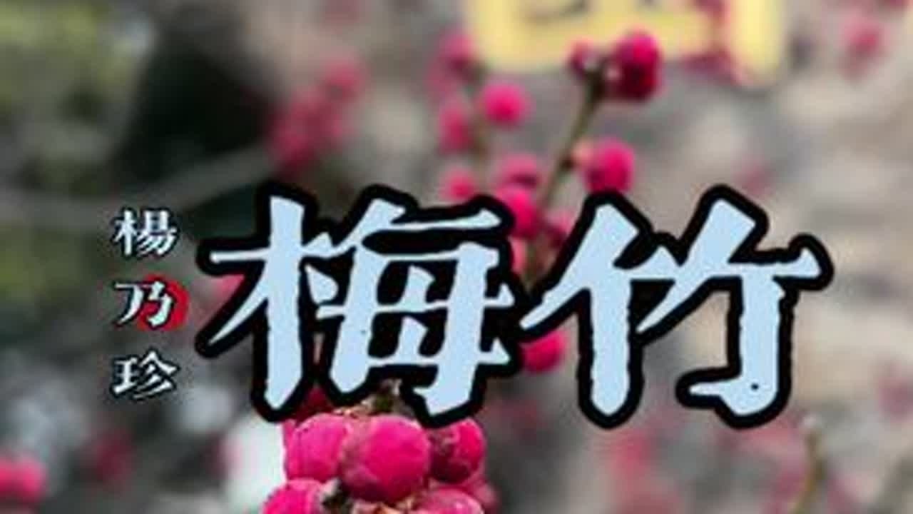 梅竹-杨乃珍#苏州评弹#旅行风景