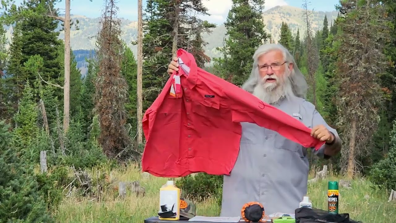 Mosquito Hacks for Vanlife! Stay Bite-Free on the Road!