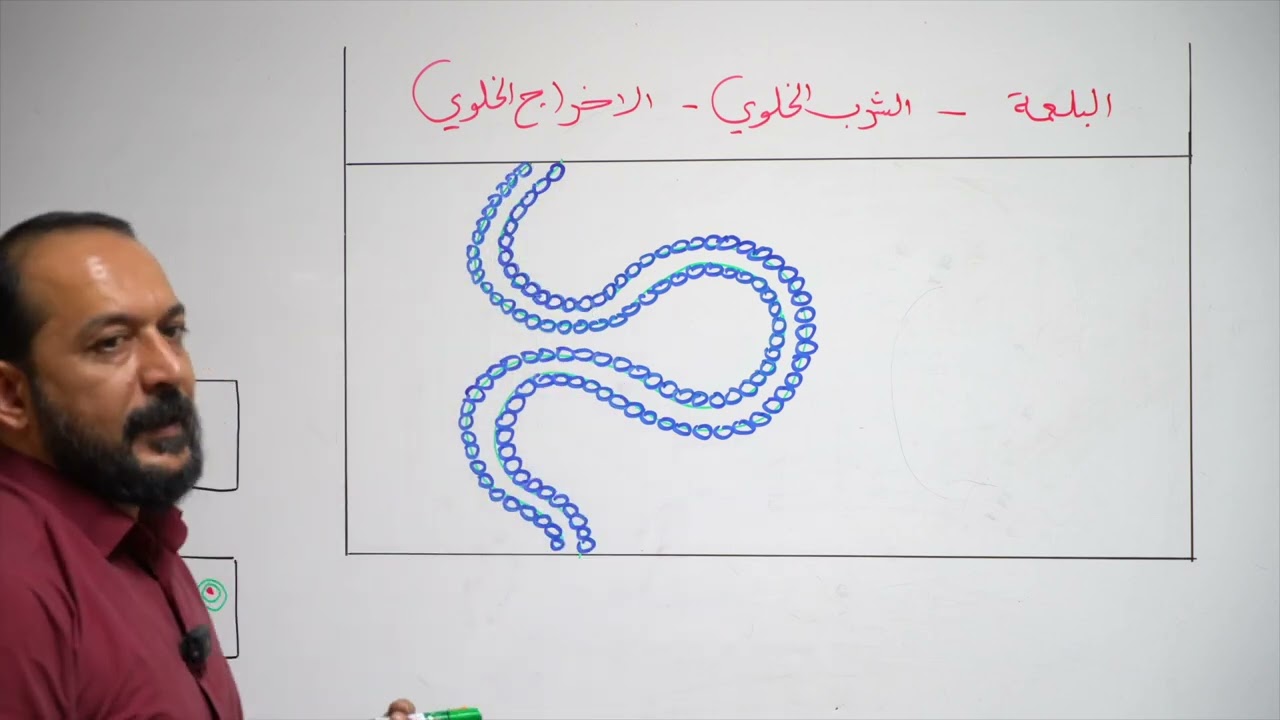 تعلم كيفية رسم البلعمة والشرب الخلوي والإخراج الخلوي
