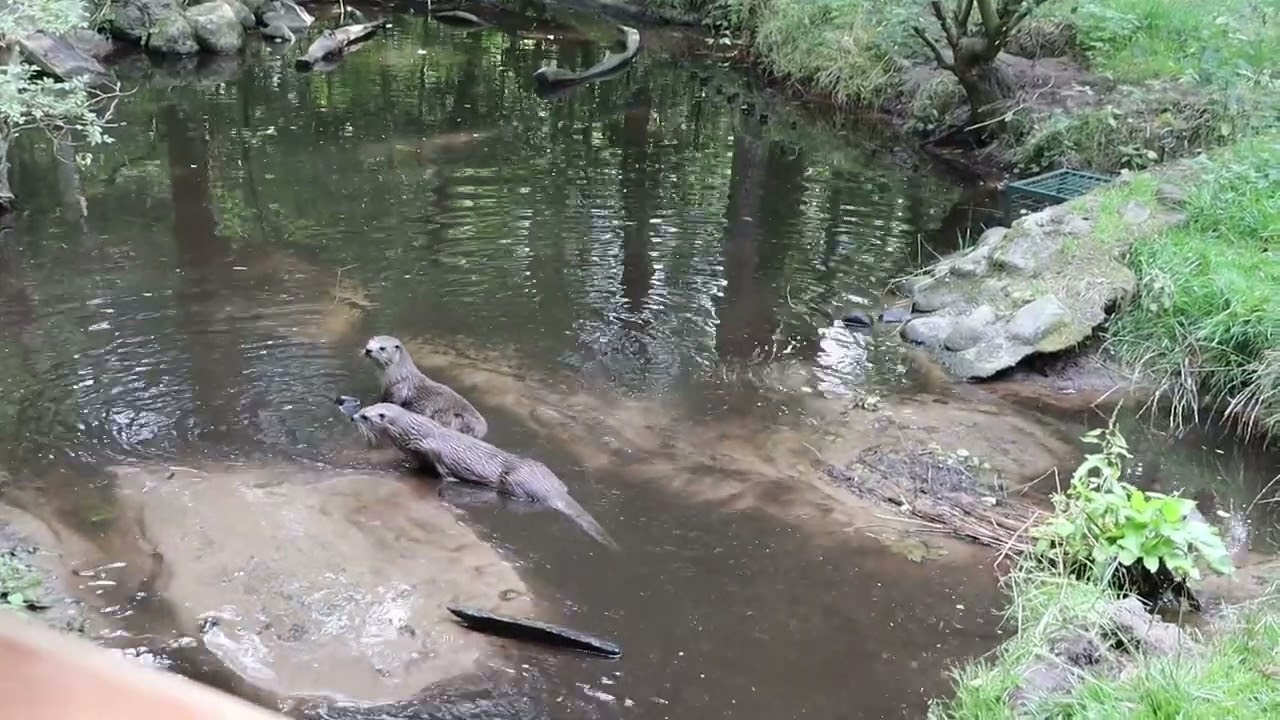Die Osterau