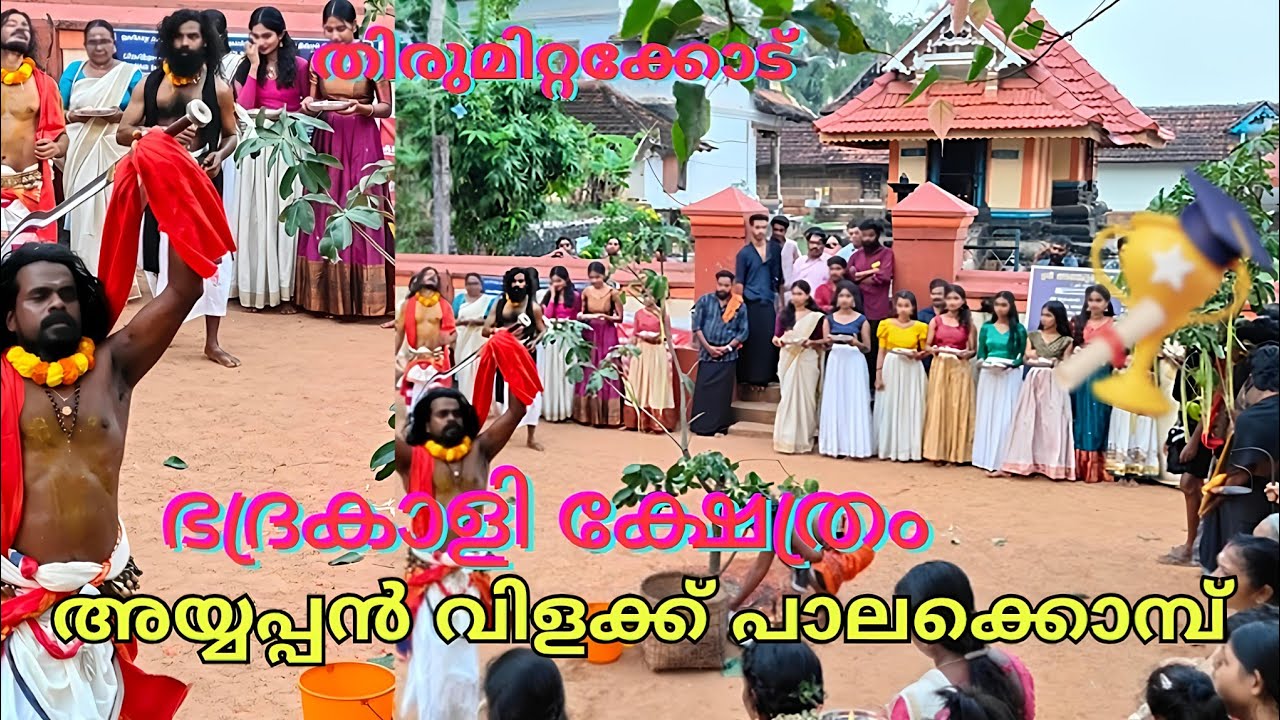 അയ്യപ്പൻ വിളക്ക് l Thirumittacode Bhadrakali Temple Ayyappan Vilakku l 2025 