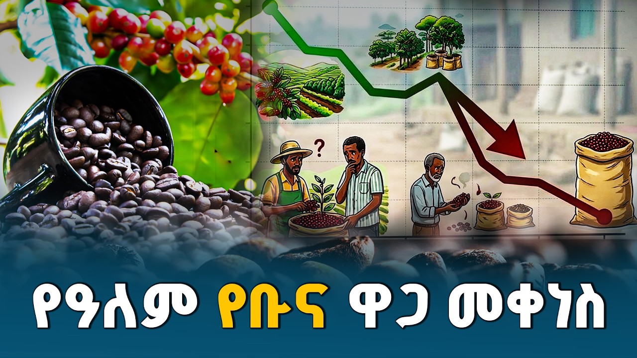በዓለም ገበያ የቡና ዋጋ እያሽቆለቆለ በመሆኑ ላኪዎች ምርታቸውን በፍጥነት እንዲያቀርቡ የኢትዮጵያ ቡና ላኪዎች ማኅበር አሳሰበ | Coffee Prices