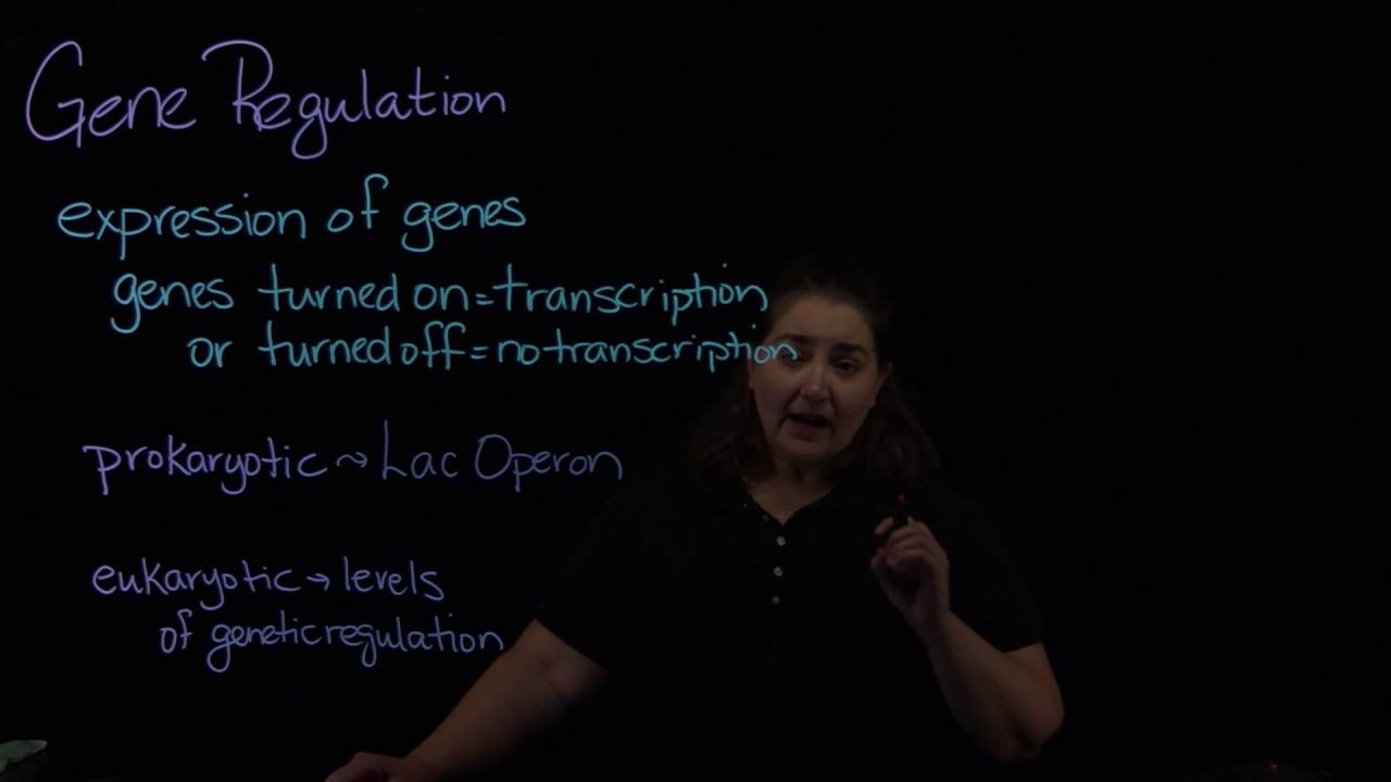 Genetic Regulation-Introduction