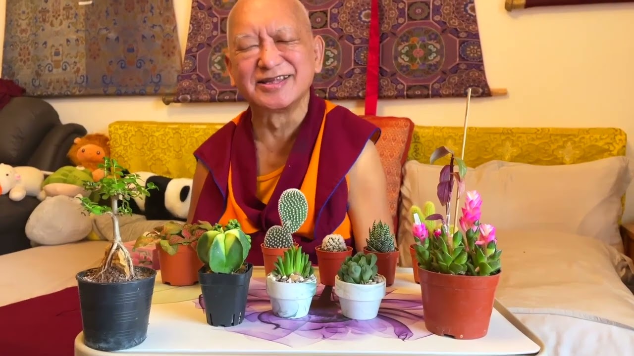 Kyabje Lama Zopa Rinpoche Come tutto viene dalla tua mente