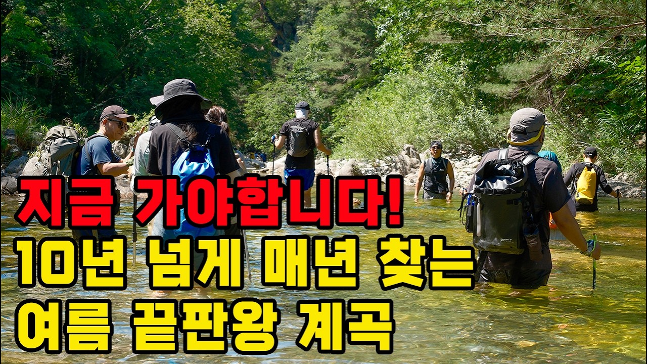지금 가야하는 강원도 오지 계곡, 10년째 매년 다녀온 진짜 이유