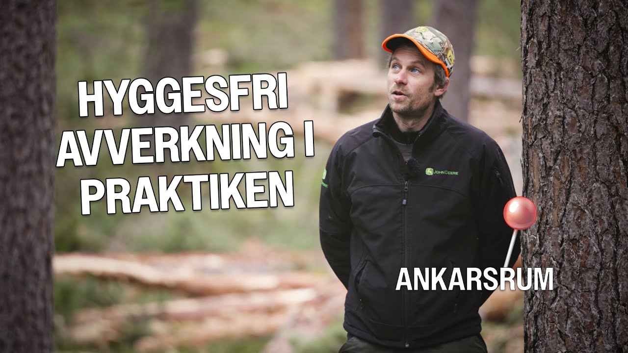 Hyggesfritt skogsbruk: Fröviksmetoden i stor skala