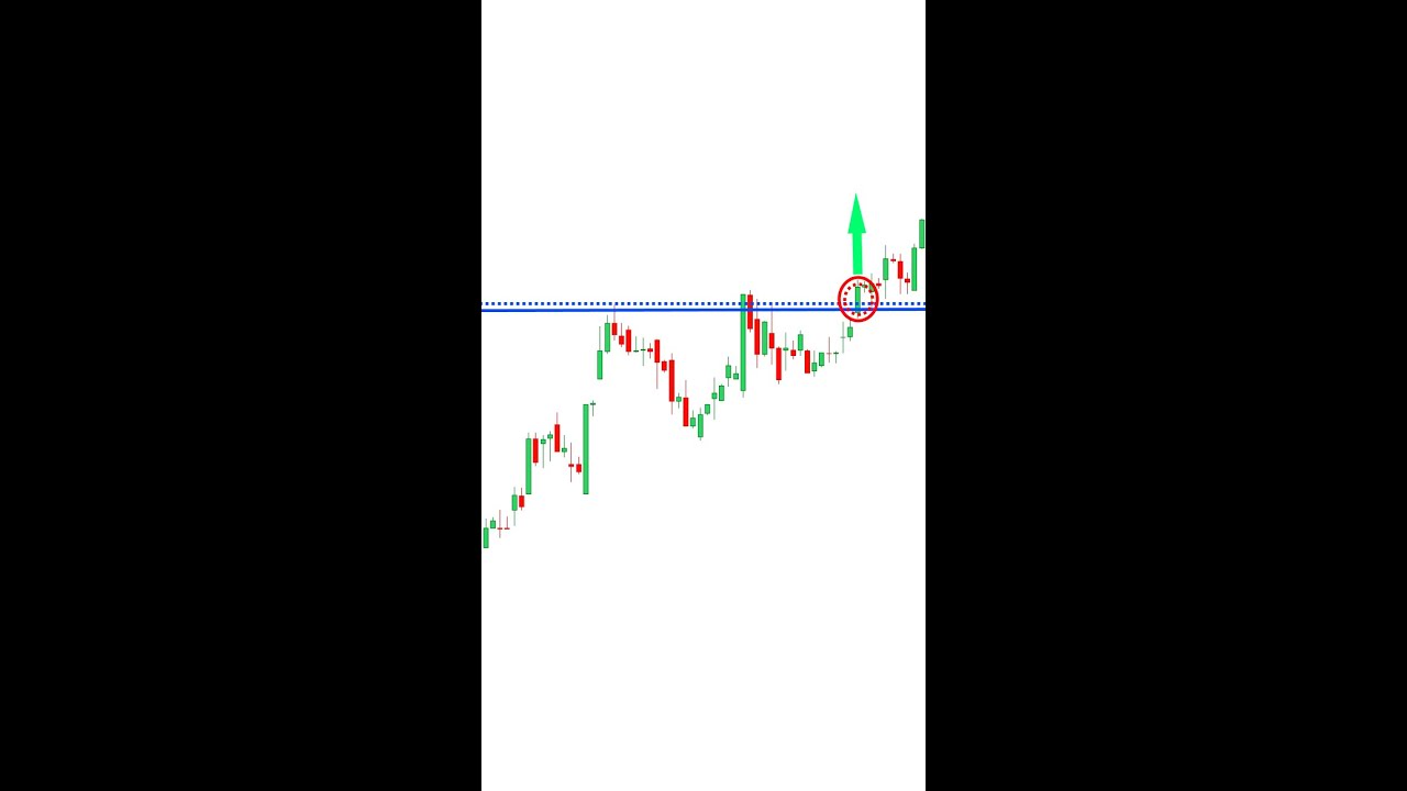 Support And Resistance Secrets To Profit In Bull & Bear Markets