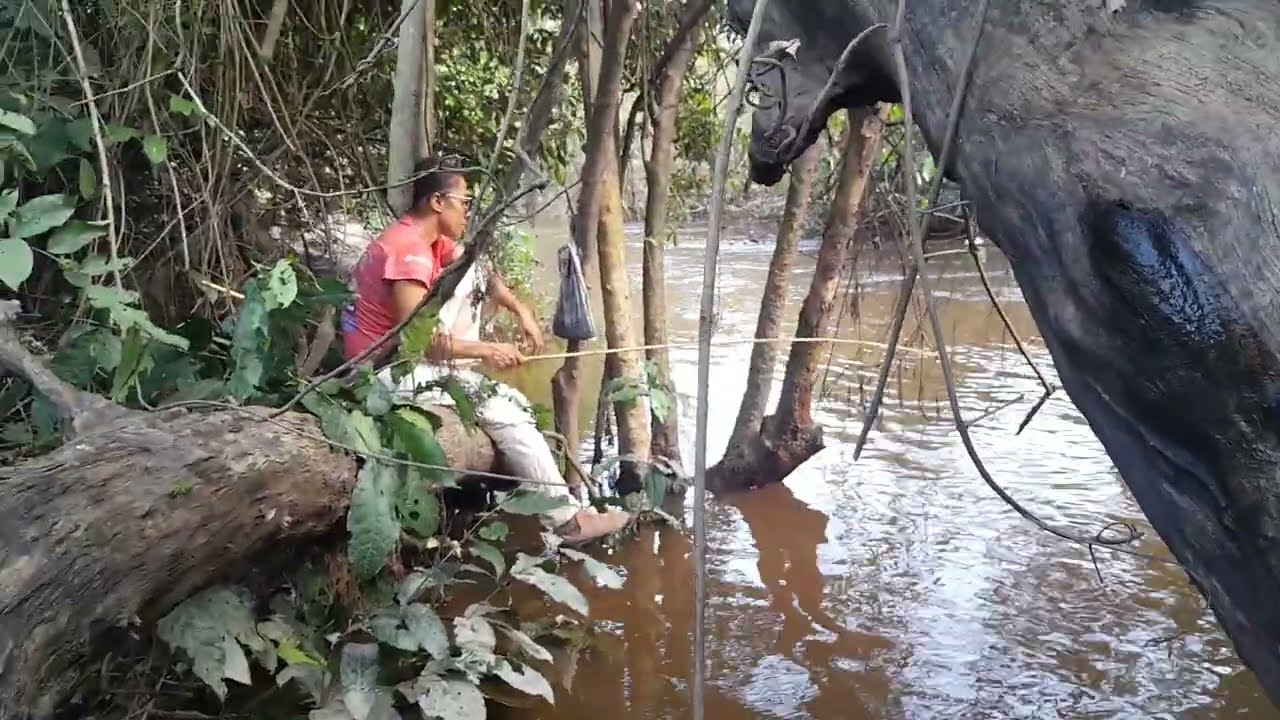 Mais uma pescaria com sucesso 
