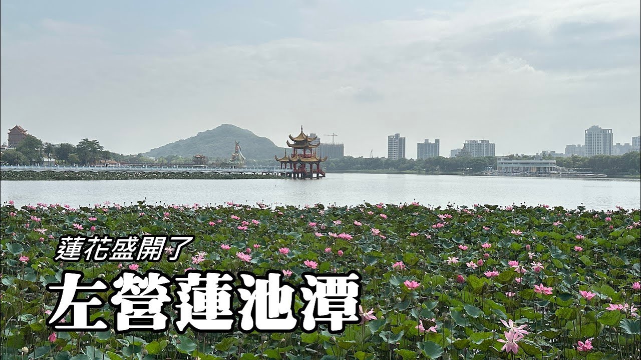左營蓮池潭, 蓮花盛開！五里亭360度環繞視野 (Lianchitan ~ Lotus Lake)