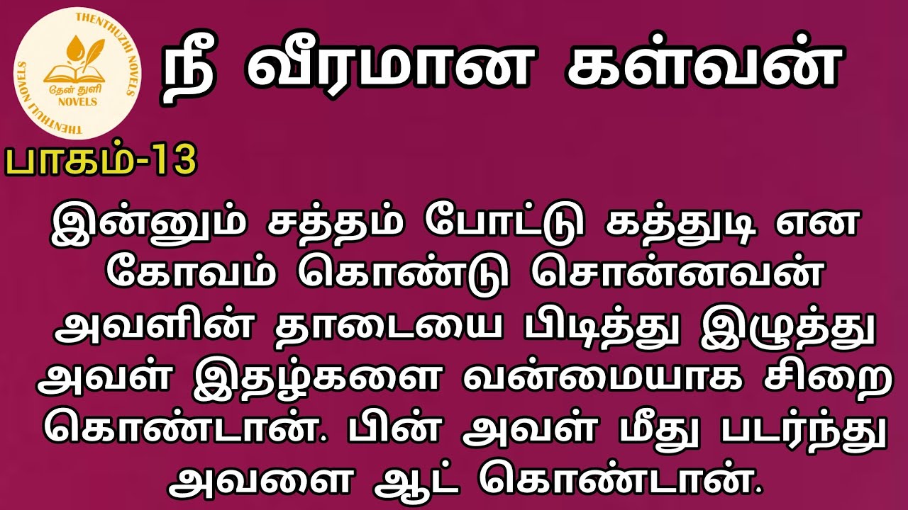 நீ வீரமான கள்வன்! | nee veeramaana kalvan! |தேன்துளி நாவல்ஸ் | பாகம்-13| தேன்மொழி | Rj மோனிகா
