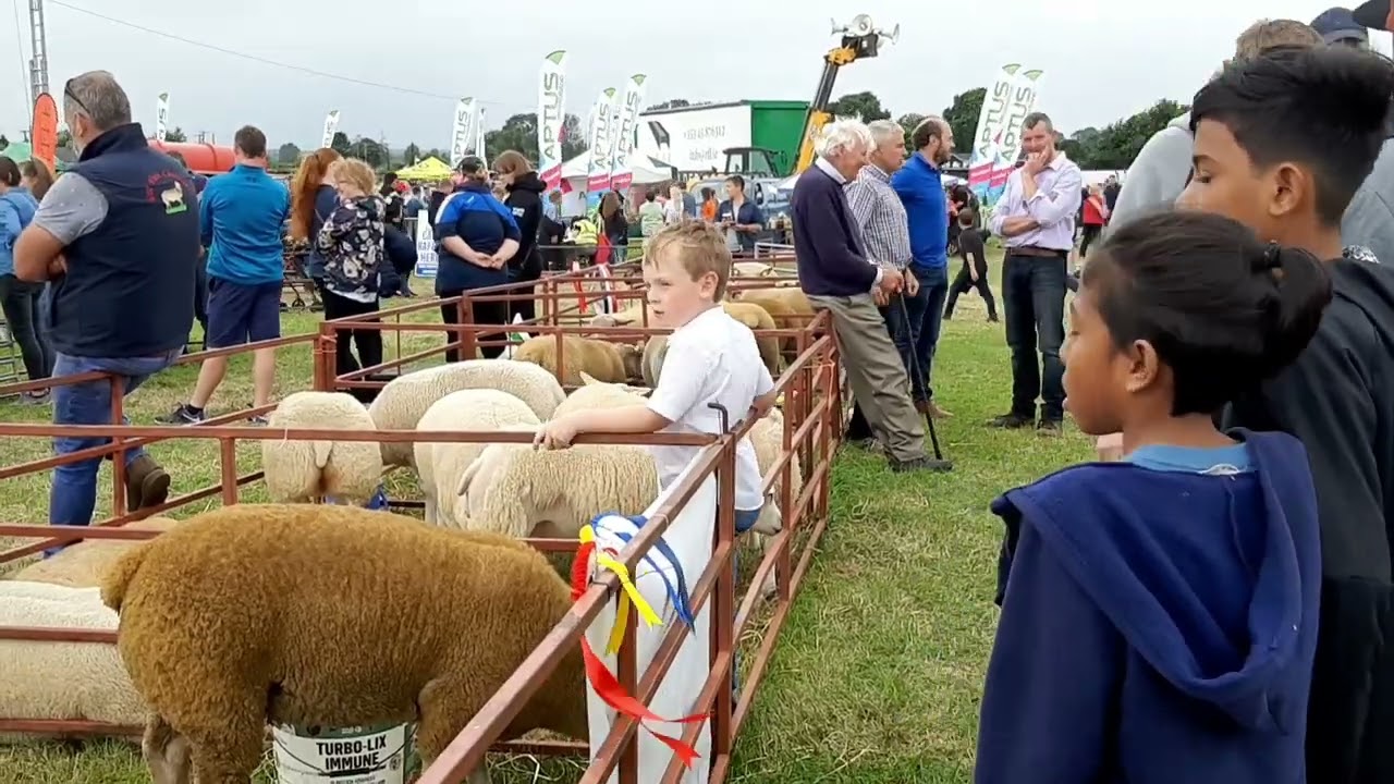 Ossory Agricultural Show (IRELAND)
