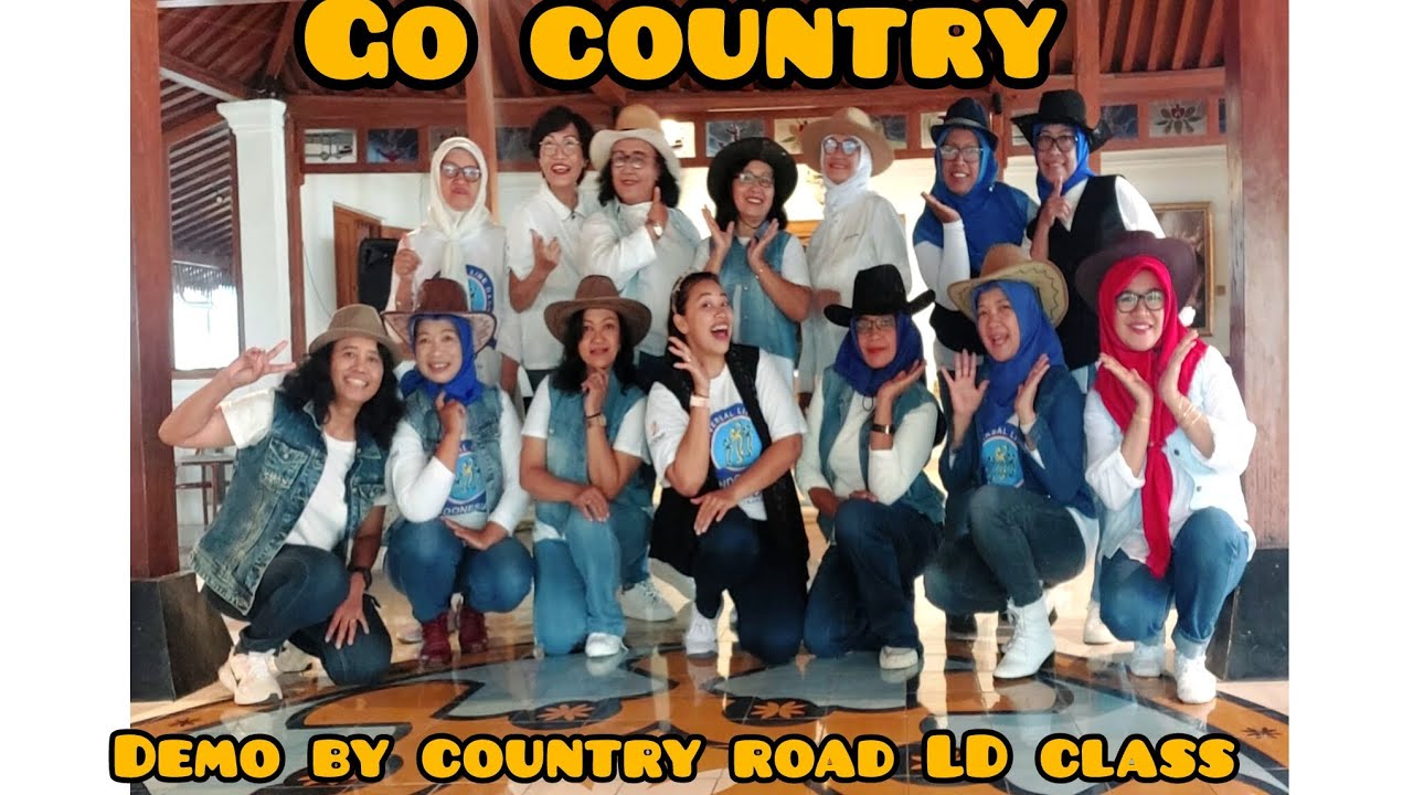 GO COUNTRY - LINE DANCE || BEGINNER 
