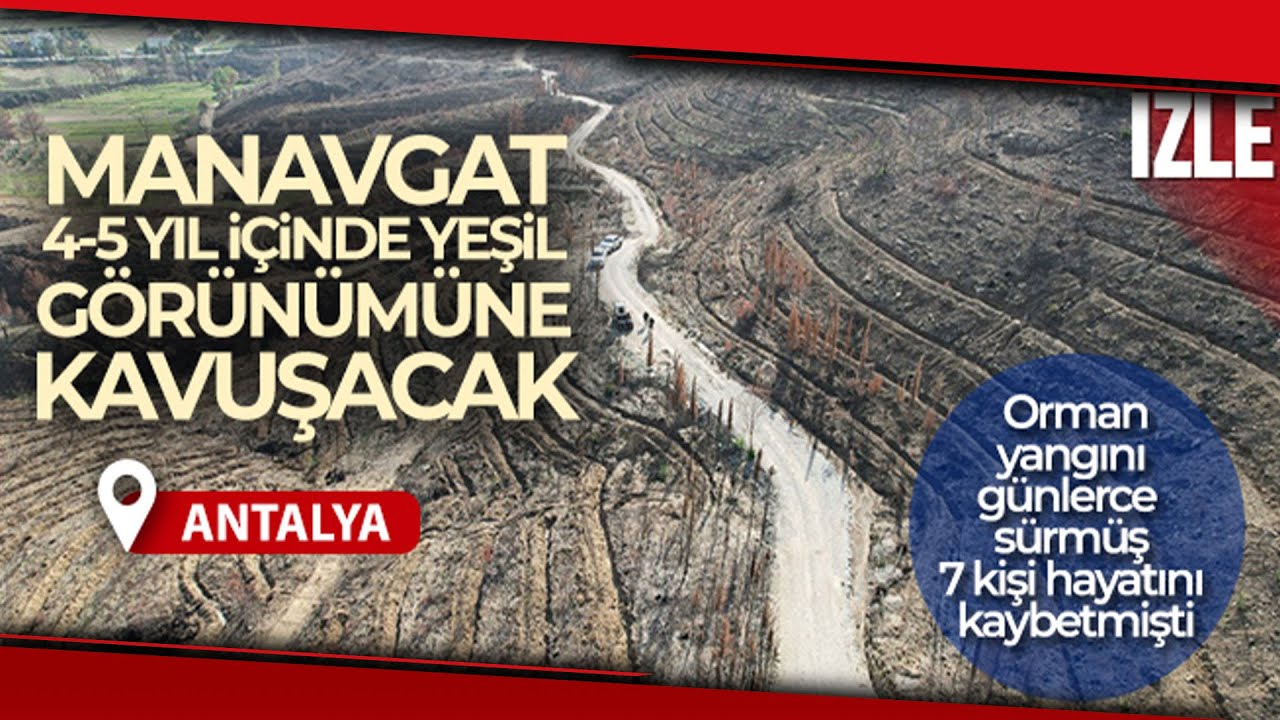 Orman Yangını Günlerce Sürmüş, 7 Kişi Can Vermişti.. Manavgat 4-5 Yıl İçinde Yeşile Görünecek