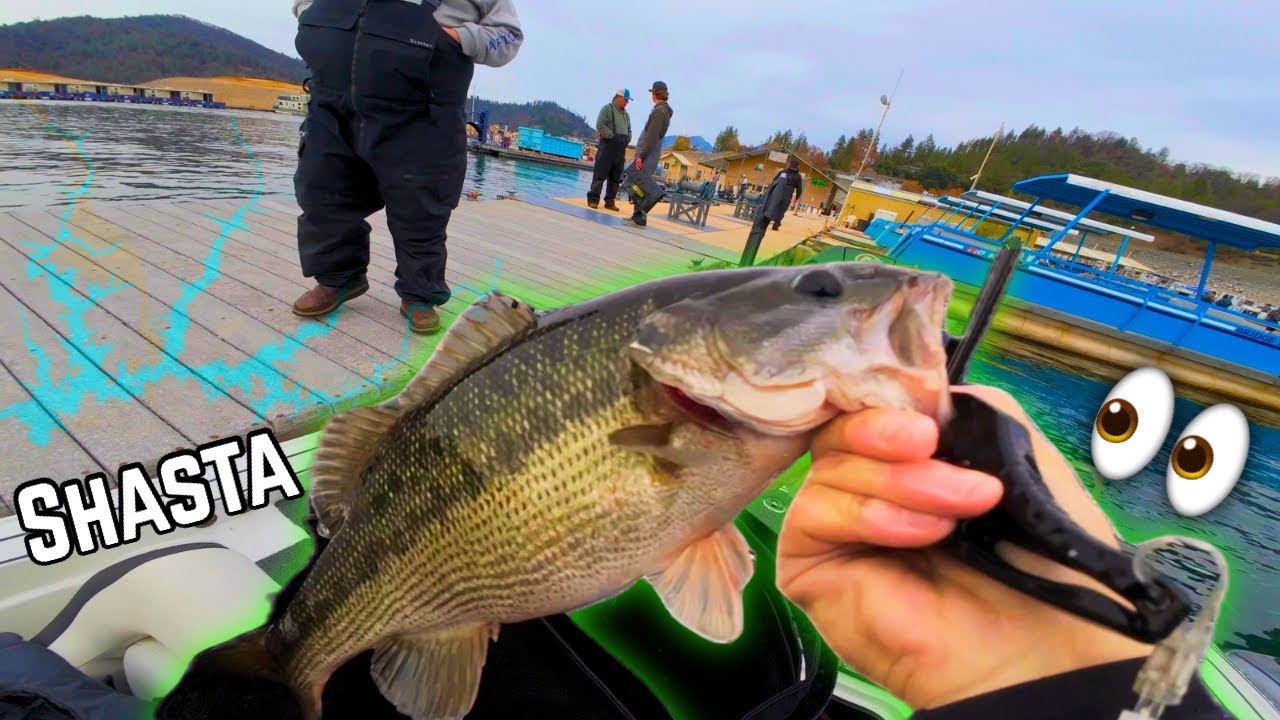 Fishing Team Tournament SOLO! (Top 10) | Figuring Out Lake Shasta
