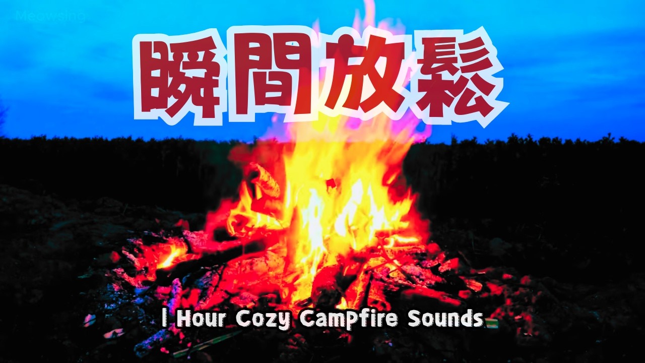 ✅️#asmr🔥溫馨的篝火 劈啪作響的火焰 令人瞬間放鬆. ASMR🔥Cozy Campfire with Crackling Flames for Instant Relaxation.