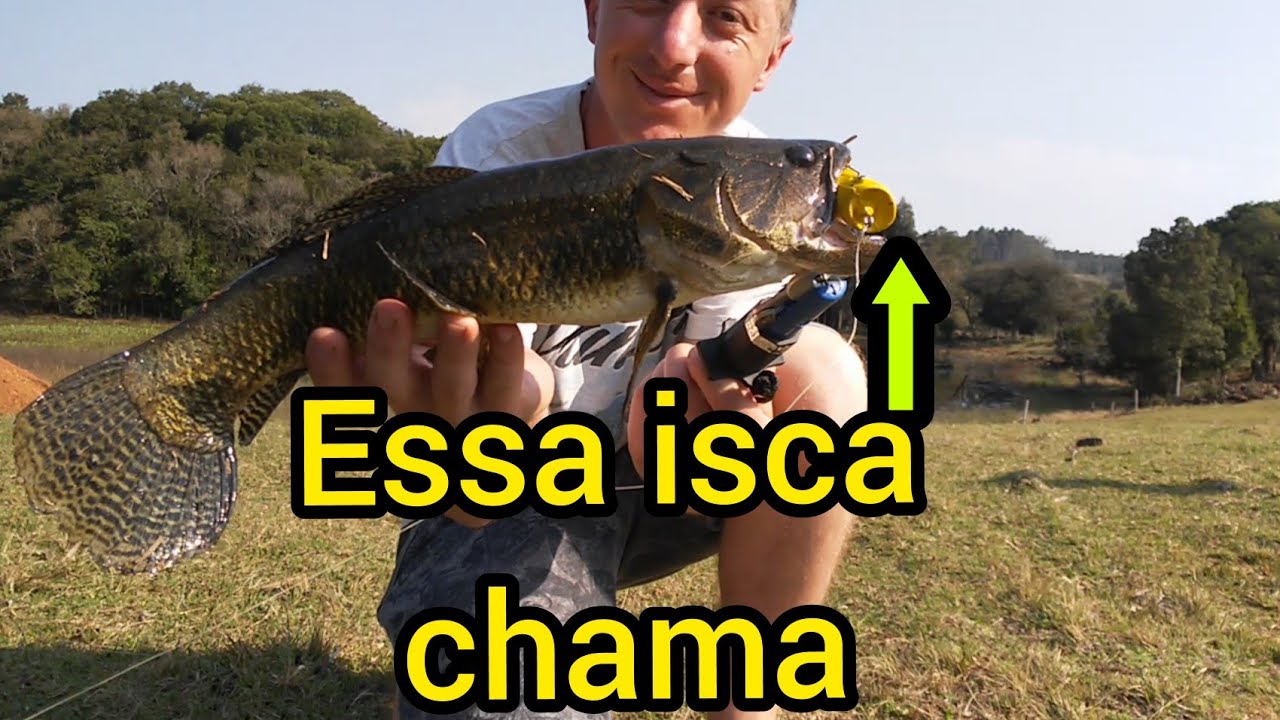 como usar o popper frog?PESCA DE TRAÍRA mais eficiencia nas fisgadas DICA no fim do video!