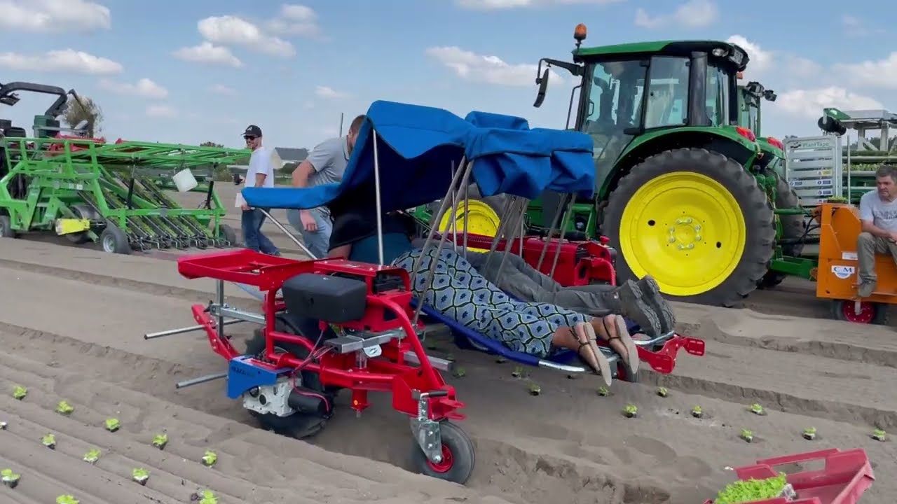 Démonstration de planteuses