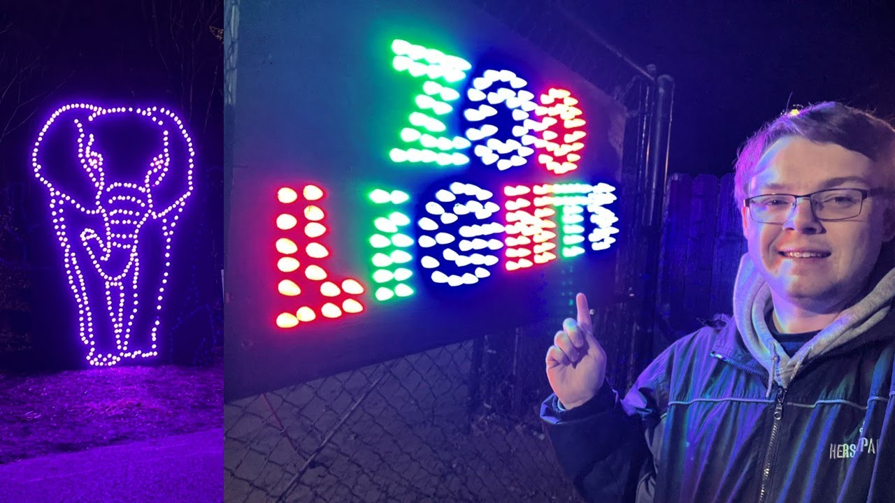 Zoo Lights at Pittsburgh Zoo! Is It Worth Visiting? | Vlog December 2023