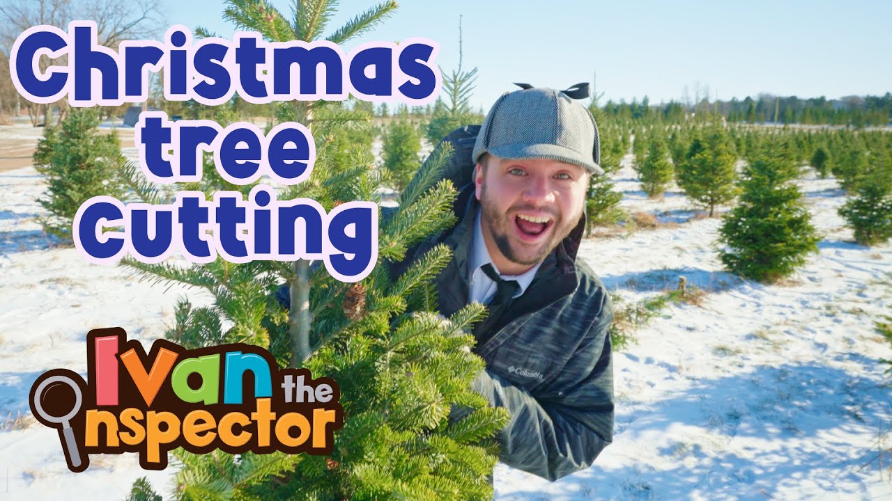 Ivan Inspects Cutting Down A Christmas Tree | Fun and Educational Videos for Kids and Toddlers