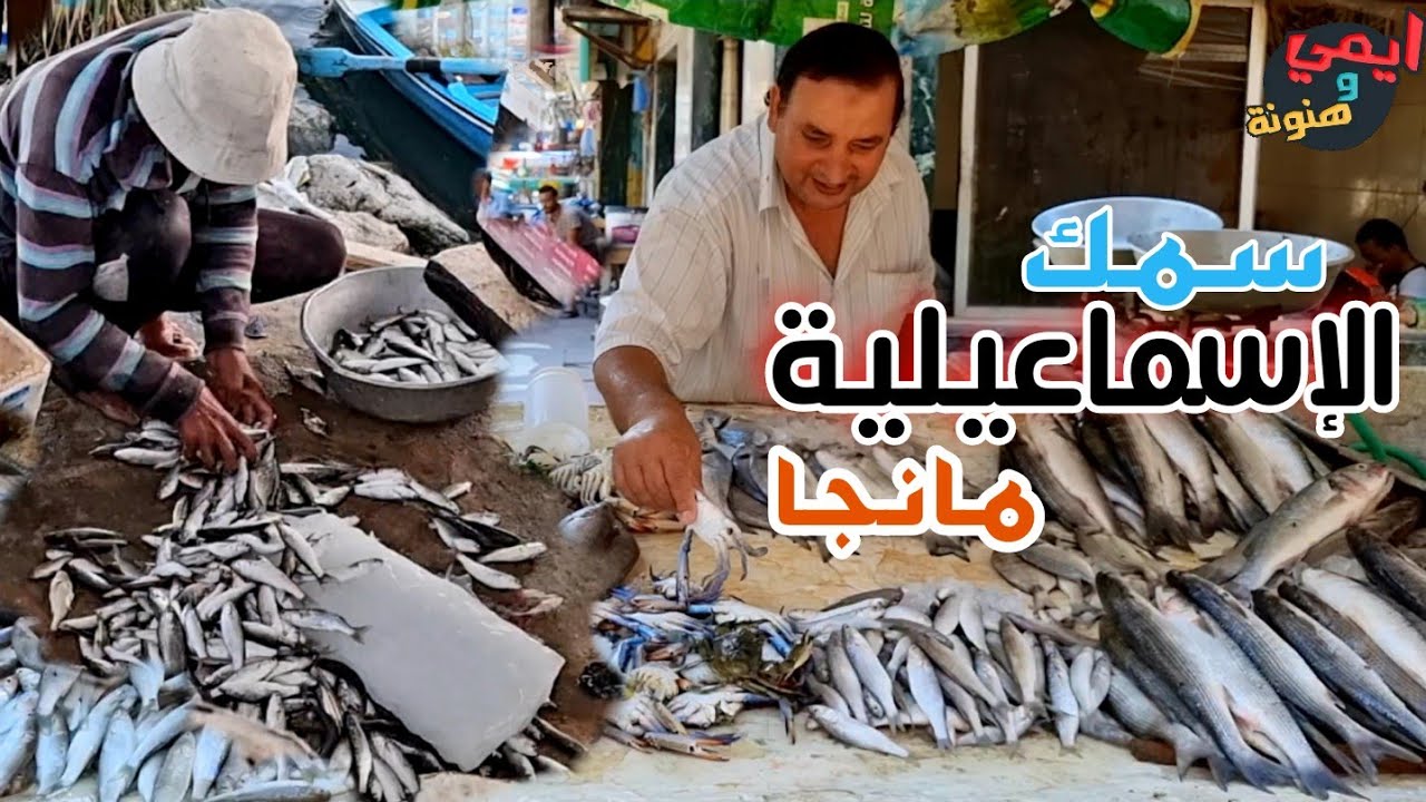 سبب غيابي عن اليوتيوب 💔🥺 وجولة بشوارع الاسماعيلية وسوق السمك القديم 🐟  وسوق المنجا بالجملة