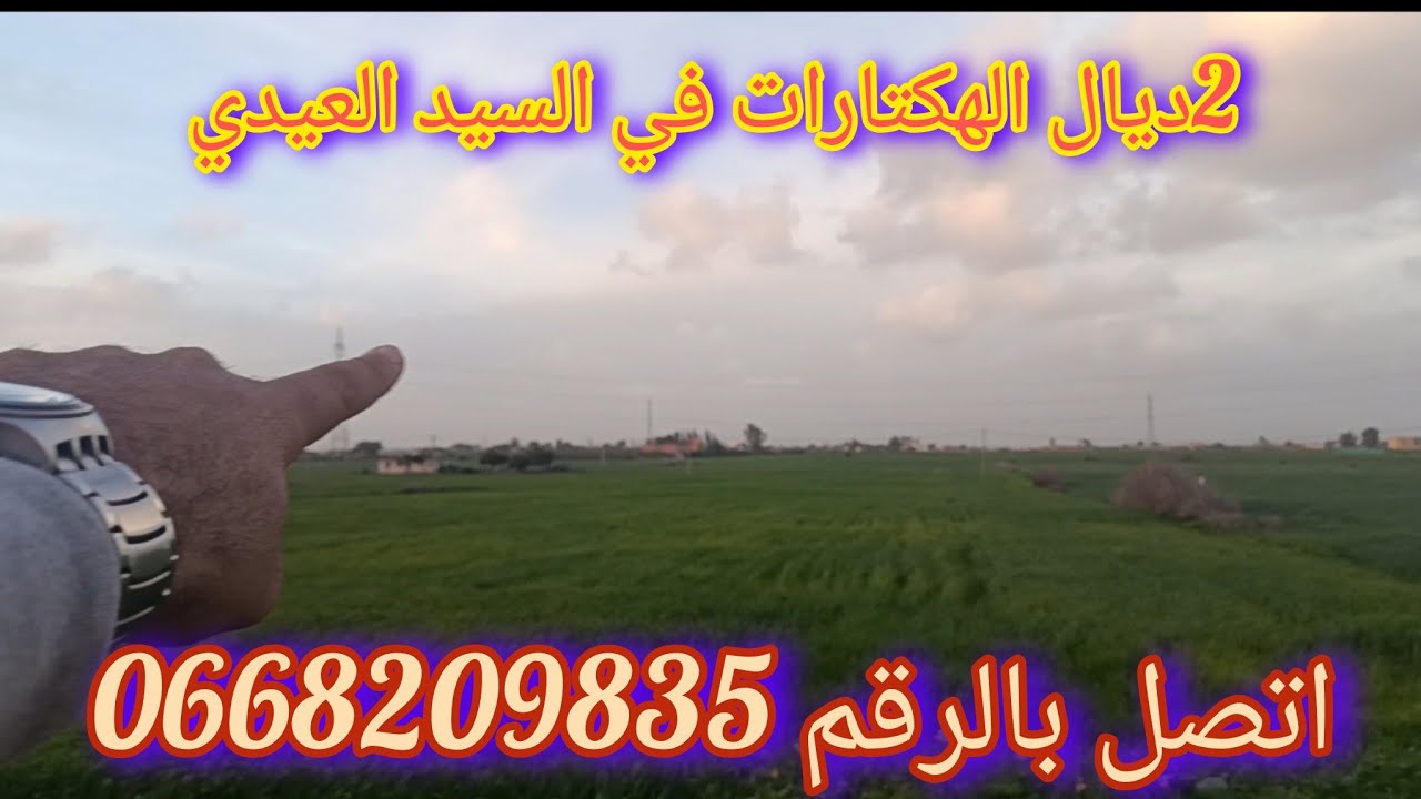 2 هكتارات محفظه همزه في سيد العيدي 💣 عند الحاج السعيدي كترحب بكم 0668209835