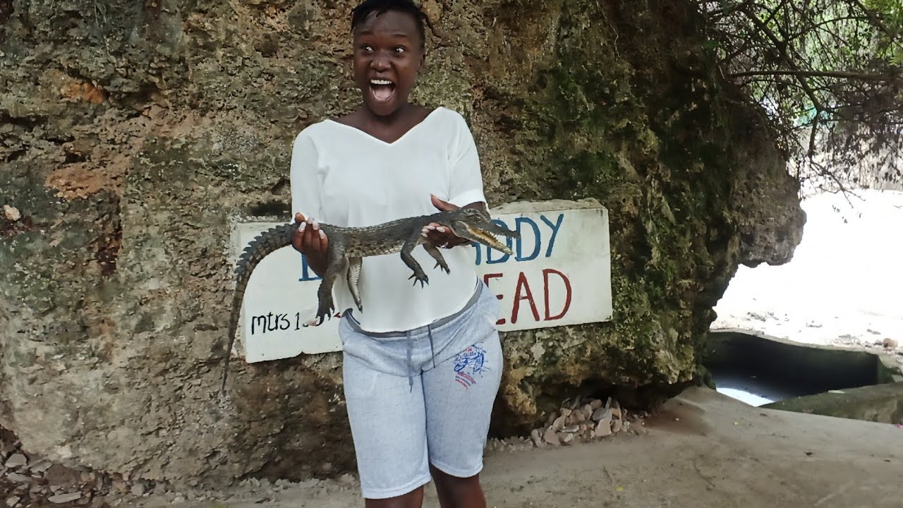 The Biggest Crocodile Farm In Africa // Kenya Vlogs